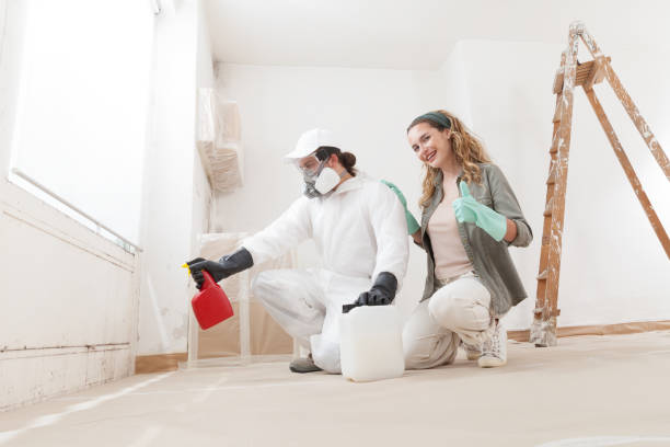 Glen Carbon, IL Mold Removal Company